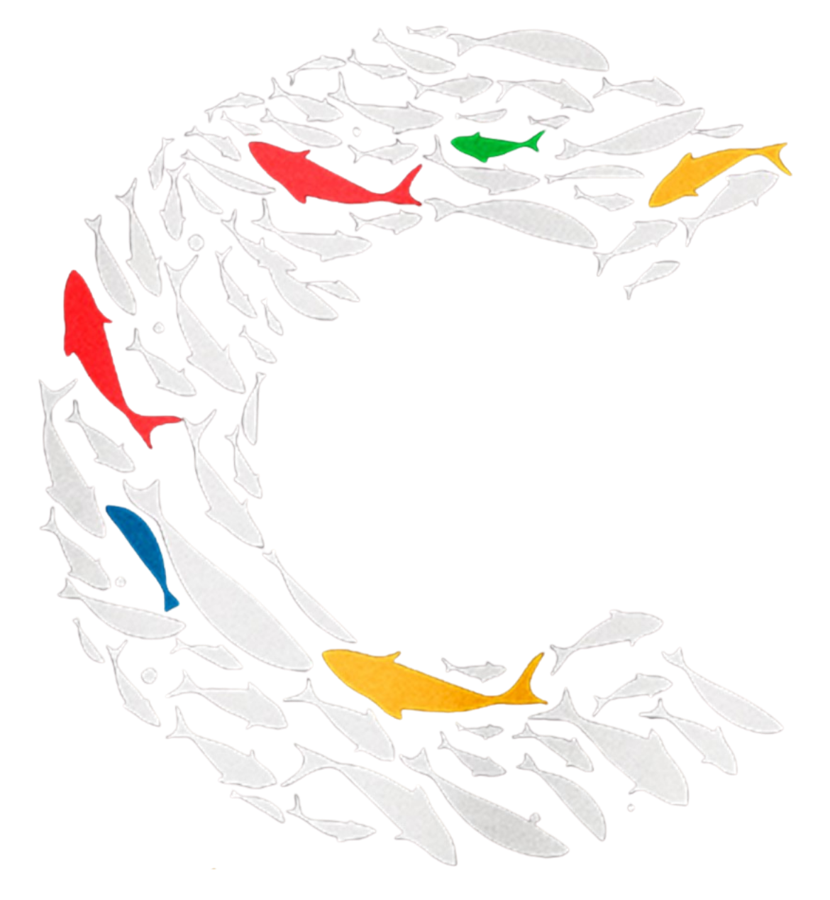CC2026